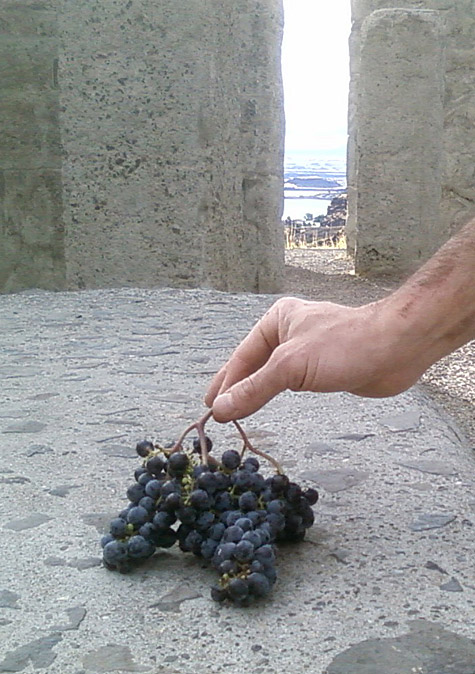 The ritual sacrifice at Stonehenge