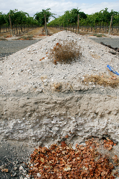 A cross section of soil at Coyote Canyon Vineyards
