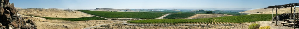 Panorama from a viewpoint above Elephant Mountain Vineyard, looking south